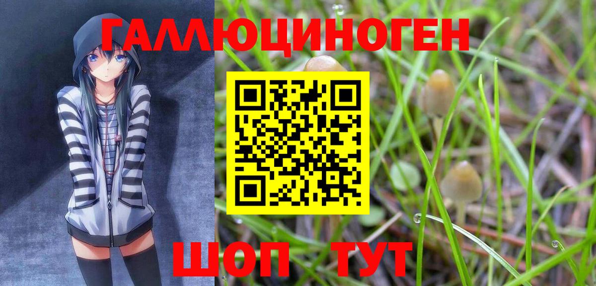 Псилоцибиновые грибы GOLDEN TEACHER Михайловск