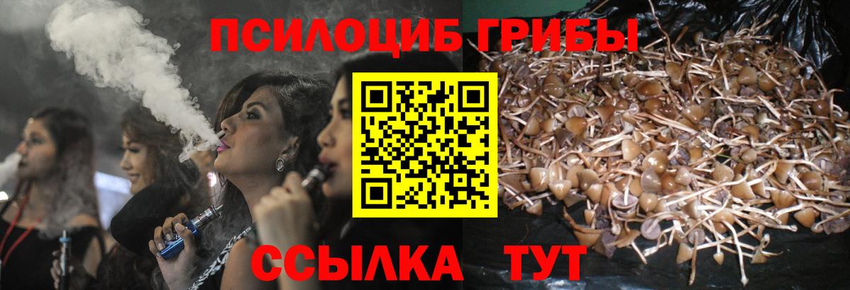 Псилоцибиновые грибы Psilocybine cubensis  даркнет сайт  Михайловск  Вход с VPN 